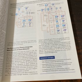 genetics from genes to genomes