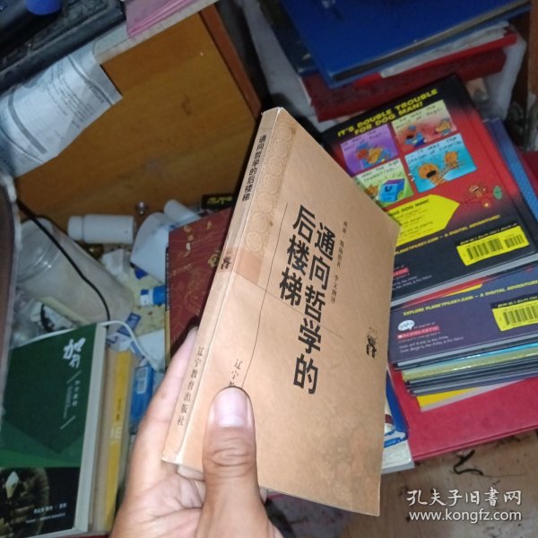 通向哲学的后楼梯 有划线