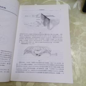 大肠癌根治术