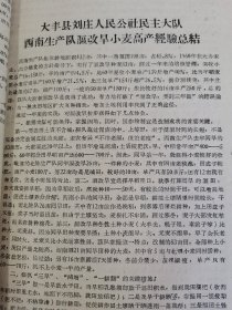 老种子 传统农业原始资料收藏（34）江苏部分（14）综合（五）60-37：江苏盐城专区农科所，盐城县大纵湖公社马沈大队、北蒋公社江窑大队、步凤公社元坎大队，东台县时埝公社时埝大队，射阳县公德公社庆北大队，阜宁县新沟公社北湾大队豆麦混种，滨海县南河公社头甲大队，大丰县刘庄公社民主大队，民生农场，徐州专区农科所《什粮实验研究总结》《杂粮实验研究工作总结》等