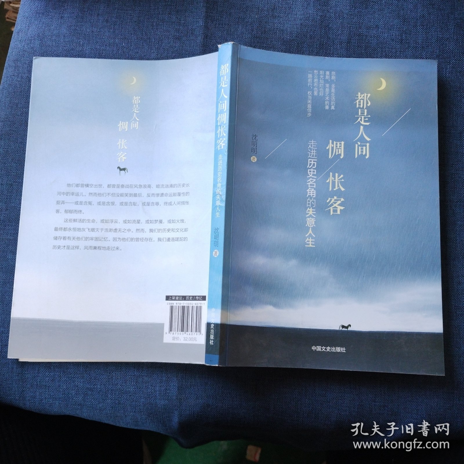 都是人间惆怅客：走进历史名角的失意人生