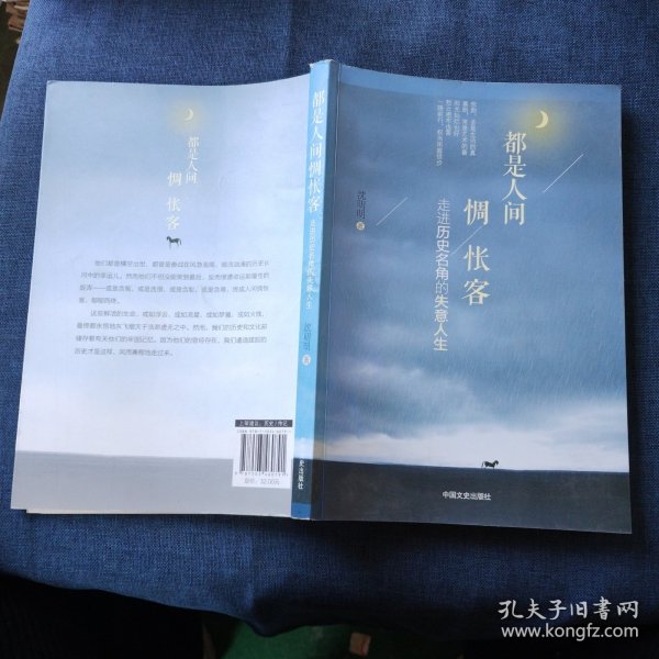 都是人间惆怅客：走进历史名角的失意人生
