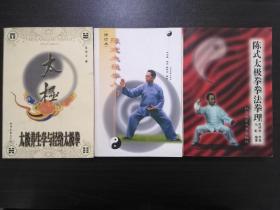 陈式太极拳拳法拳理+陈式太极拳入门+太极养生学与经络太极拳（三册同售）【正版！】