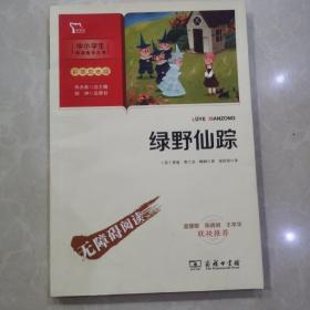 绿野仙踪（中小学生课外阅读指导丛书）彩插无障碍阅读 智慧熊图书