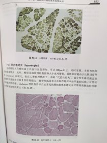 精装 现代神经内科学 李大年 原箱