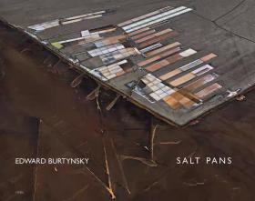 Edward Burtynsky: Salt Pans: Little Rann of Kutch, Gujarat, India  爱德华伯汀斯基:盐田