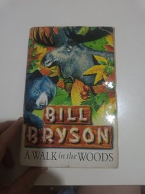 A Walk In The Woods林中漫步