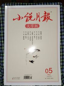 小说月报 大字版 2025年5月下