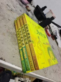 十万个为什么（少儿网络版）全4册