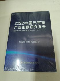 2022中国元宇宙产业指数研究报告 未拆封