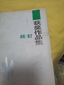 中篇小说选刋获奖作品集