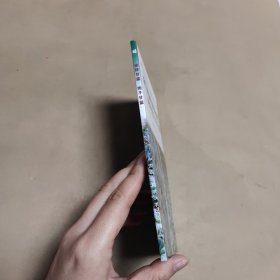 浙江效益农业百科全书 结球甘蓝抱子甘蓝