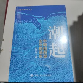 潮起：中国创新型企业的诞生