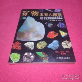 矿物宝石大图鉴 正版 200种矿物宝石鉴赏图典 矿物与宝石的知识和图鉴宝石收藏爱好者的书籍珍稀矿石物图谱实用寻宝图鉴 煤炭工业出版社