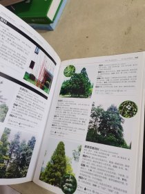 花草树木图鉴大全