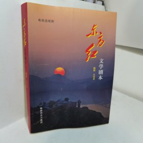 东方红文学剧本（电视连续剧）