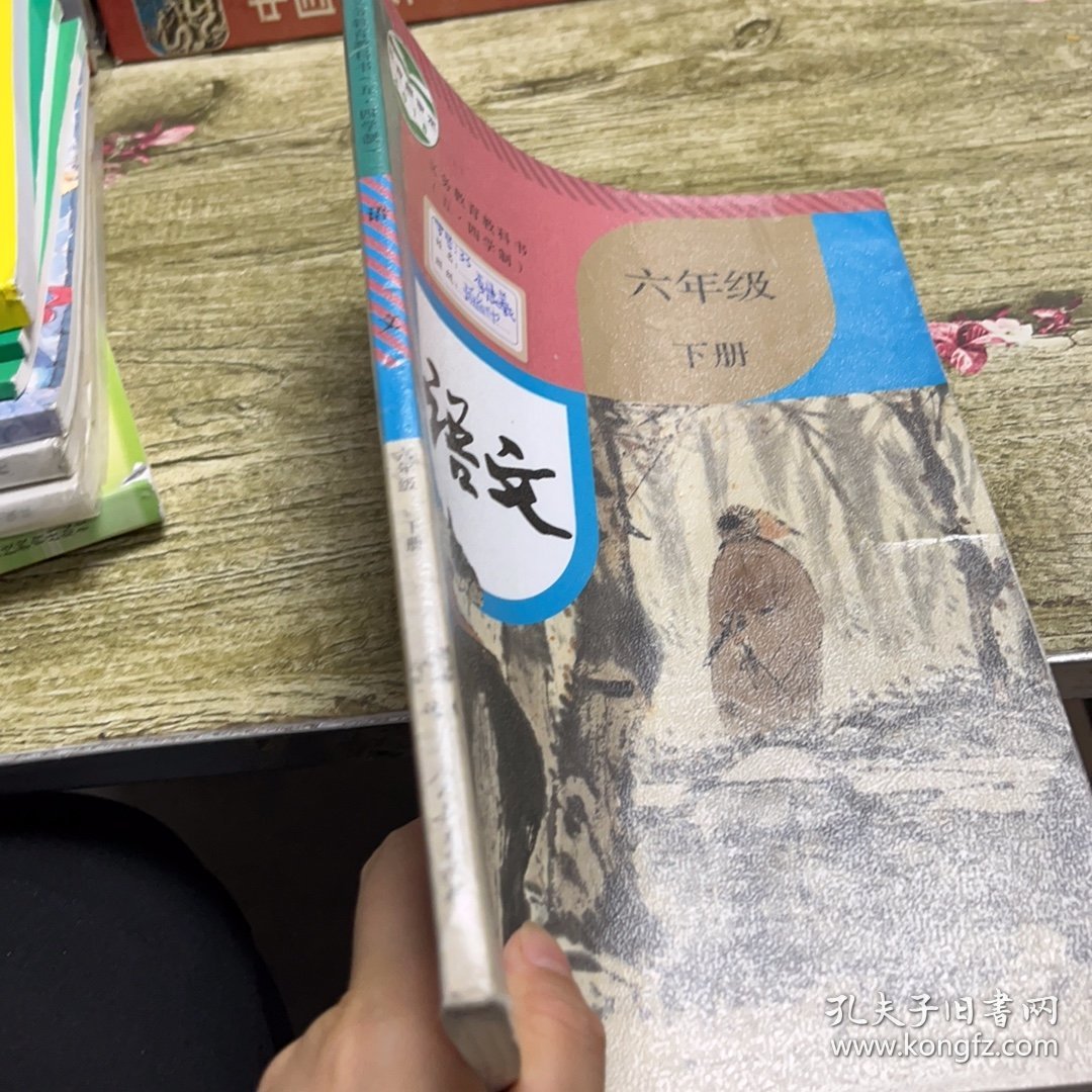义务教育教科书（五.四学制）语文六年级下册
