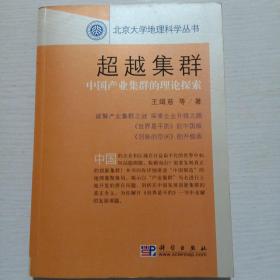 超越集群：中国产业集群的理论探索