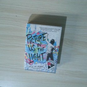 英文书 Picture Us In The Light Hardcover by Kelly Loy Gilbert  Author