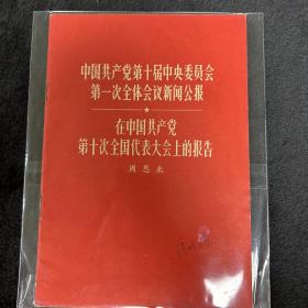 中国共产党第10届中央委员会第一次全体会议新闻公报