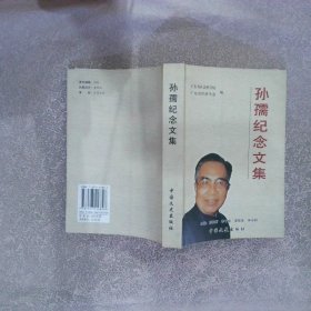 孙孺纪念文集