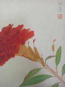 日本回流书画字画日本画家锻冶照应国画《鸡冠花》