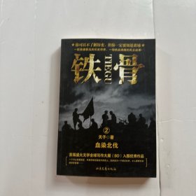 铁骨2：血染北伐