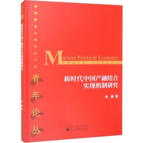 新时代中国产融结合实现机制研究