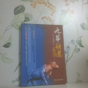 九华悟道：创业探秘