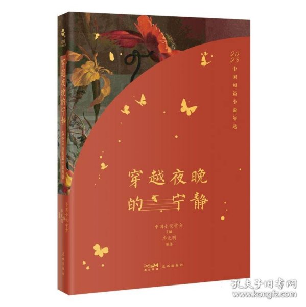 穿越夜晚的宁静：2023中国短篇小说年选