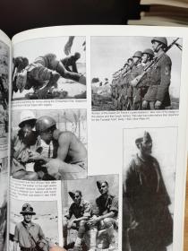 轴心国部队在北非 1940 - 43年