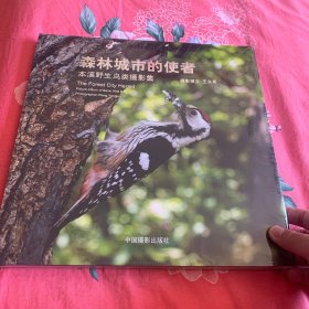 森林城市的使者 : 本溪野生鸟类摄影集