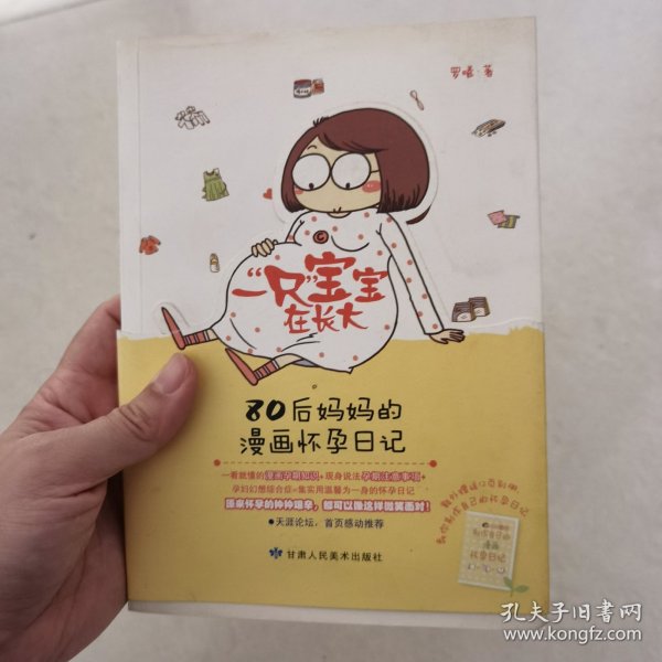 一“只”宝宝在长大：80后妈妈的漫画怀孕日记