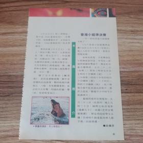 叶童32开杂志彩页 （袋15）
