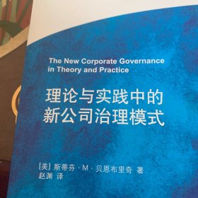 法律与金融译丛：理论与实践中的新公司治理模式