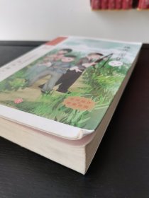 烽火三少年/流金百年中国儿童文学必读