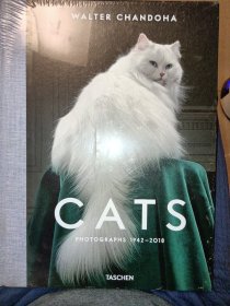 Walter Chandoha. Cats. Photographs 1942-2018 猫 沃尔特·尚多哈