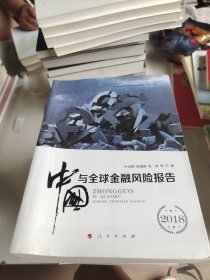 中国与全球金融风险报告 2018