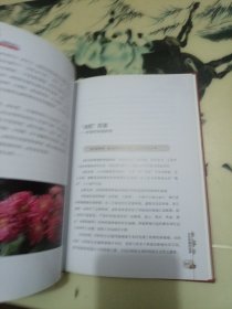 妇科肿瘤的故事
