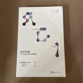 消费图像：当代文化中的风格策略