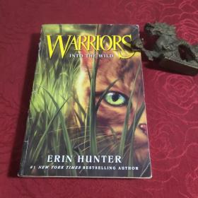 Warriors #1: Into the Wild