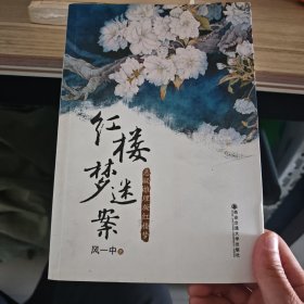 红楼梦迷案：悬疑推理版红楼梦