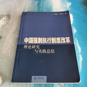 中国强制执行制度改革:理论研究与实践总结