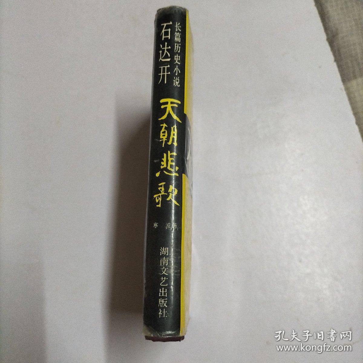 石达开:天国悲歌