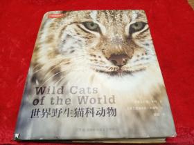 世界野生猫科动物