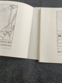 活着的向秀丽﹉王自容