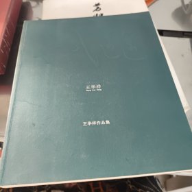 喜入迷途 王华祥作品集