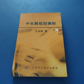 中长期规划编制