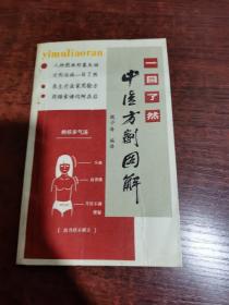 一目了然中醫(yī)方劑圖解
