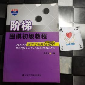 阶梯围棋初级教程：重中之重的死活